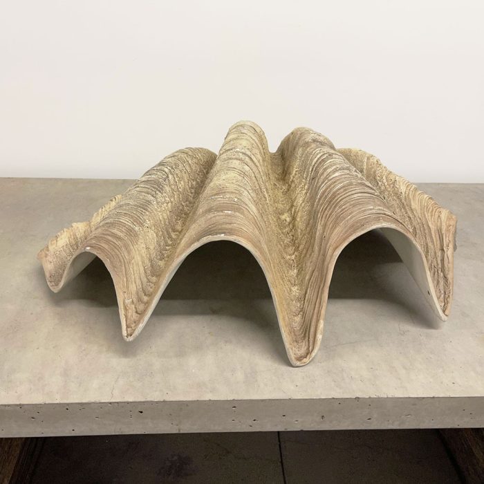 Giant 36" Fiberstone Clam Shell | Catherine's Loft