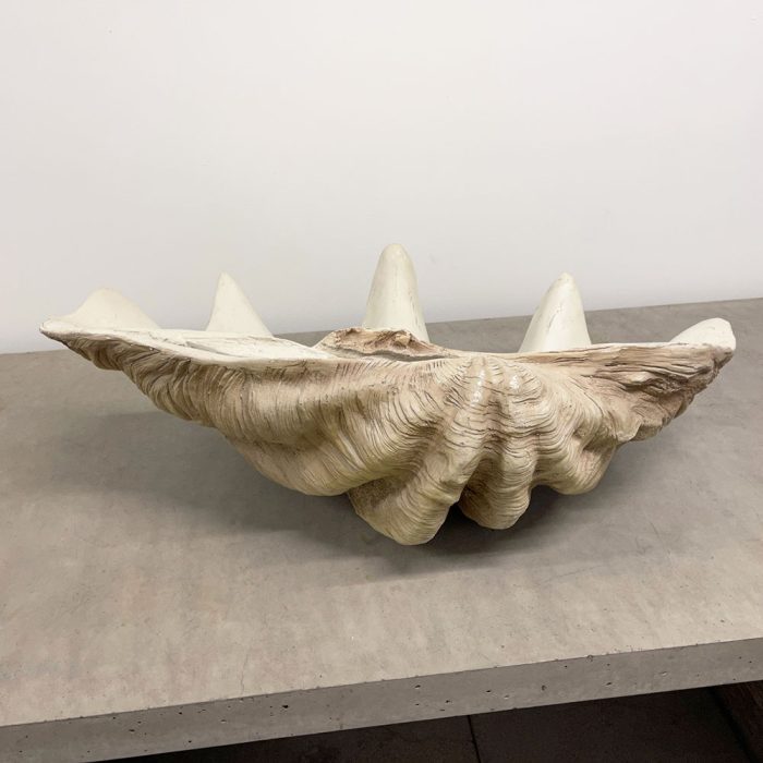 Giant 36" Fiberstone Clam Shell | Catherine's Loft