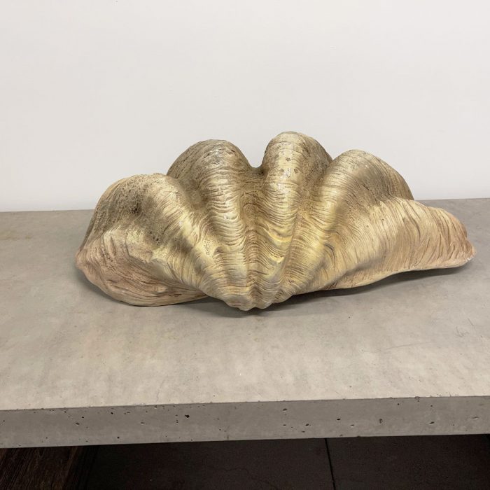 Giant 36" Fiberstone Clam Shell | Catherine's Loft