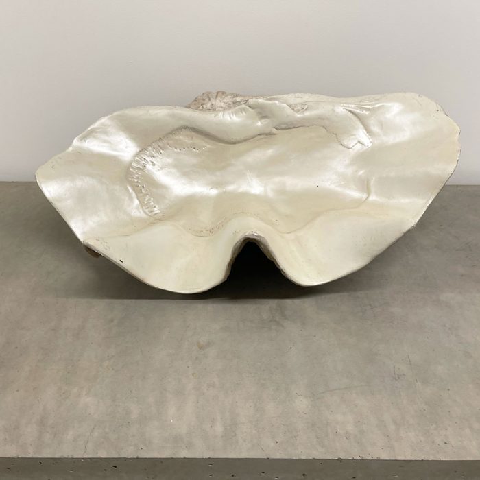 Giant 36" Fiberstone Clam Shell | Catherine's Loft